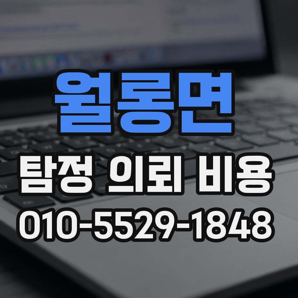 월롱면 탐정 의뢰 비용
