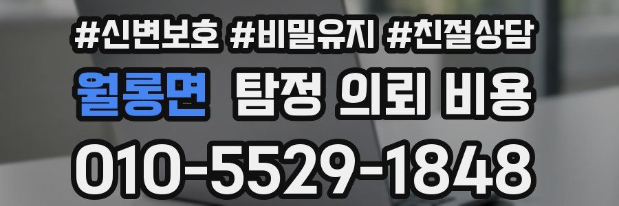 월롱면 탐정 의뢰 비용