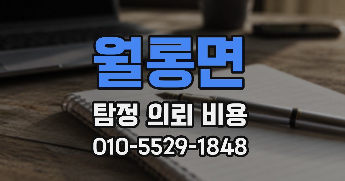 월롱면 탐정 의뢰 비용
