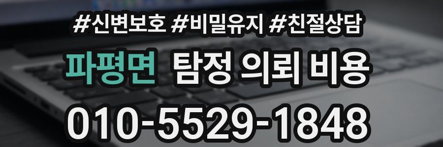 파평면 탐정 의뢰 비용