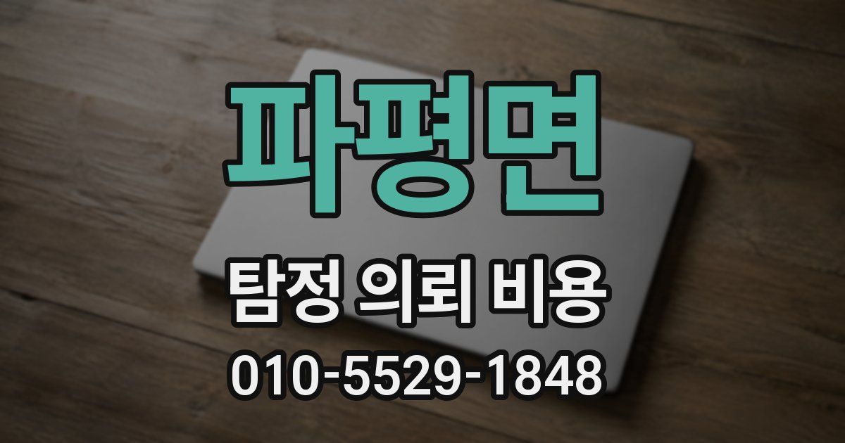 파평면 탐정 의뢰 비용