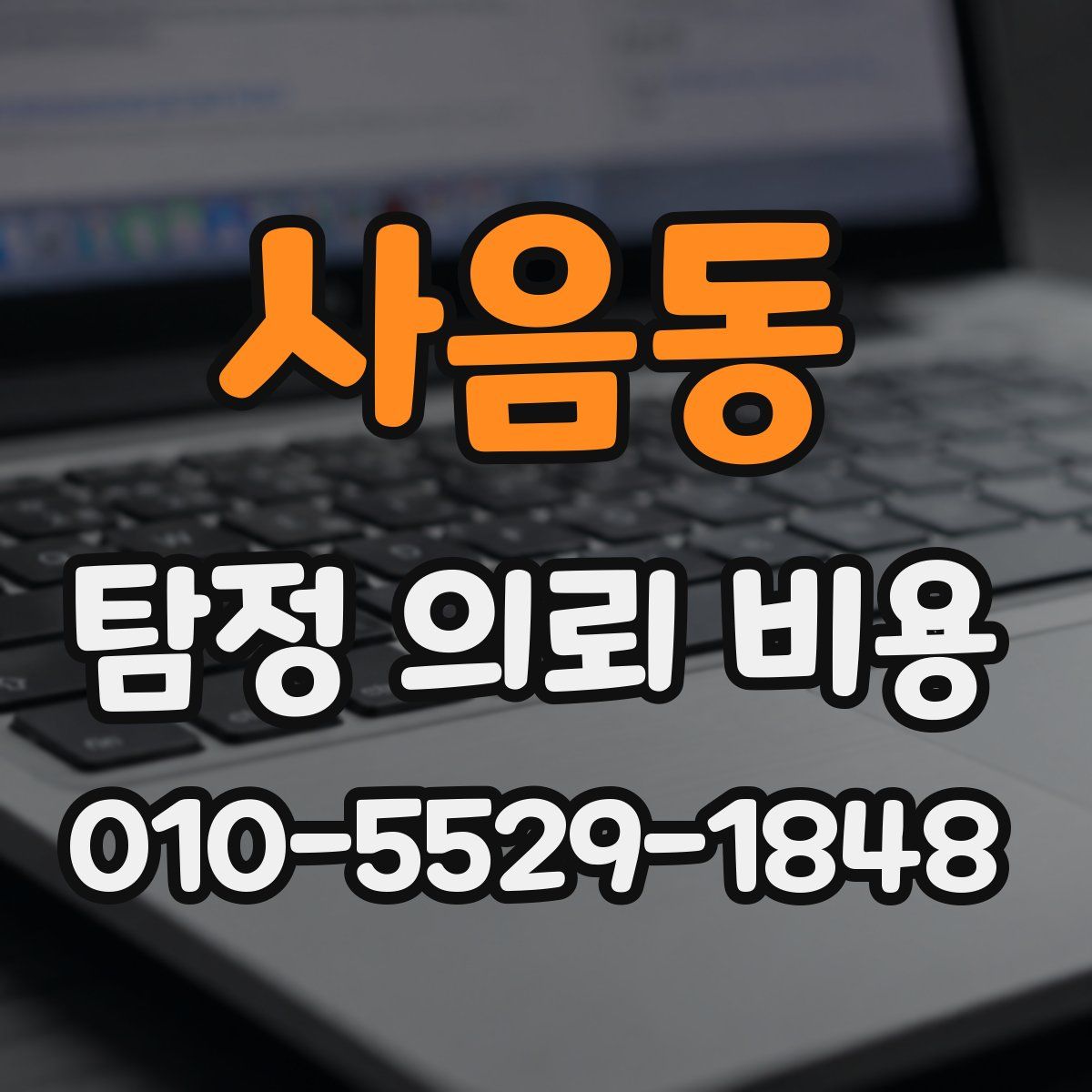사음동 탐정 의뢰 비용