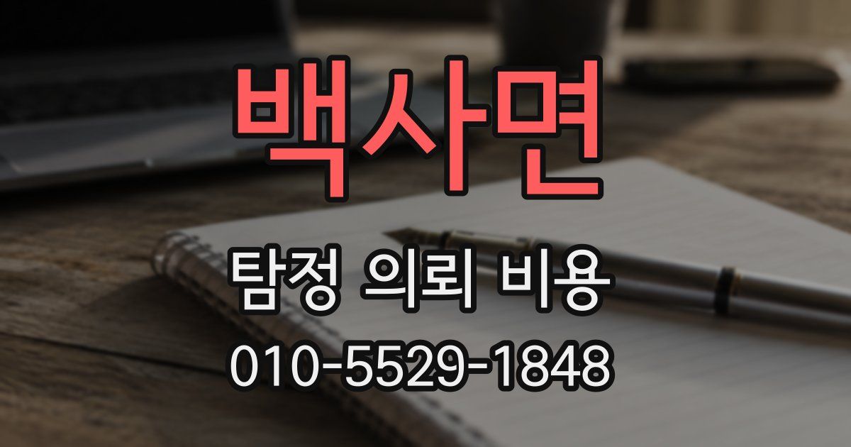 백사면 탐정 의뢰 비용