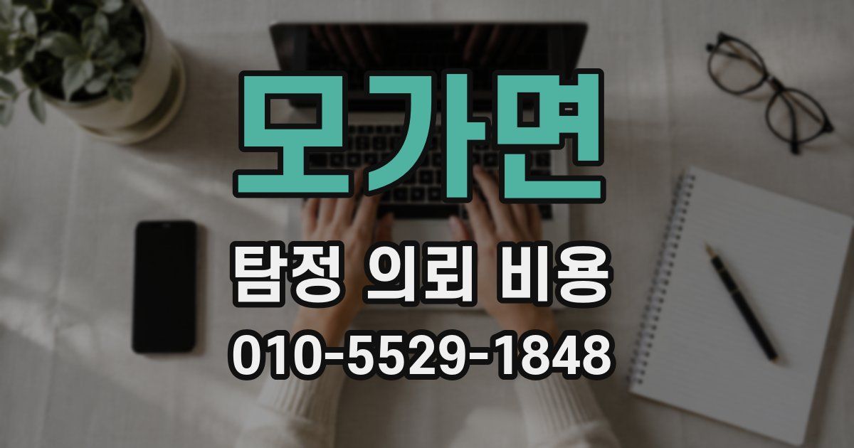 모가면 탐정 의뢰 비용