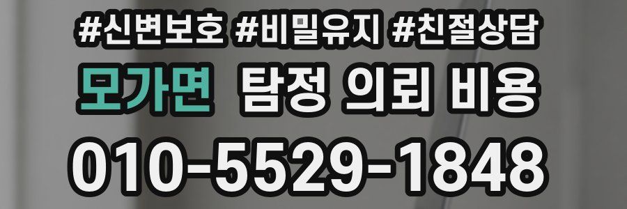 모가면 탐정 의뢰 비용