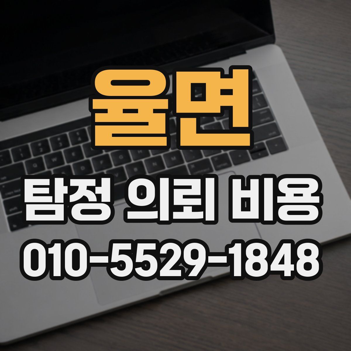 율면 탐정 의뢰 비용