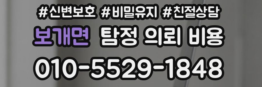 보개면 탐정 의뢰 비용