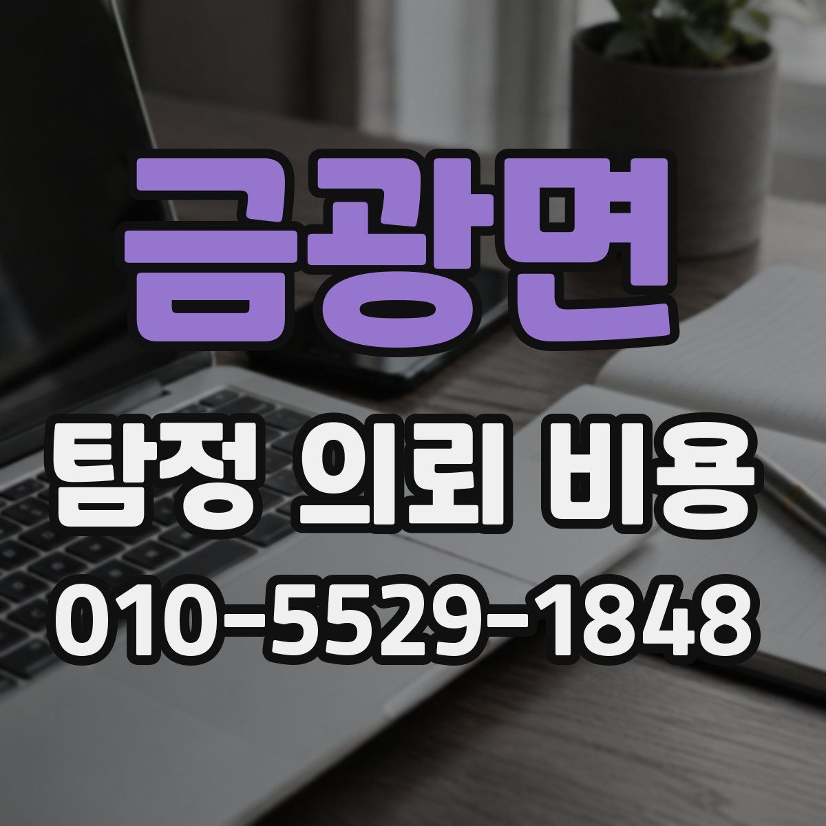 금광면 탐정 의뢰 비용