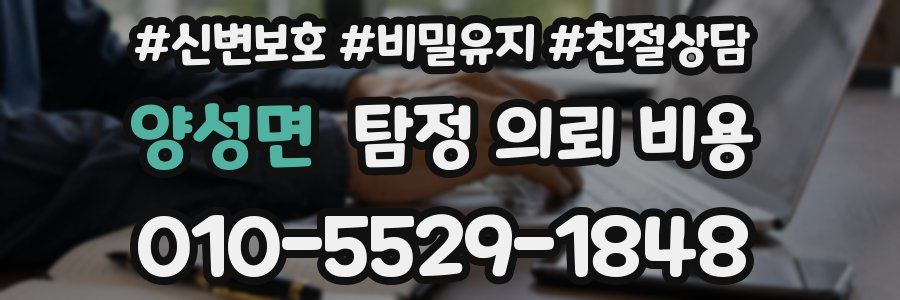 양성면 탐정 의뢰 비용