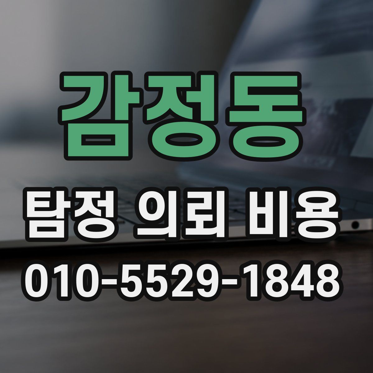 감정동 탐정 의뢰 비용