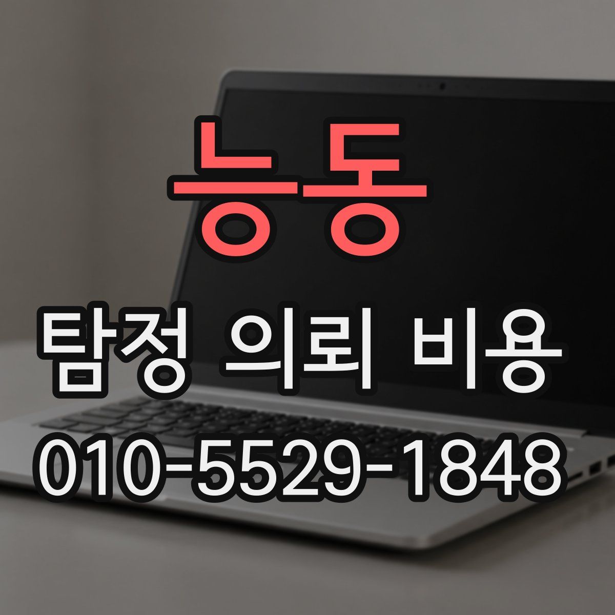 능동 탐정 의뢰 비용