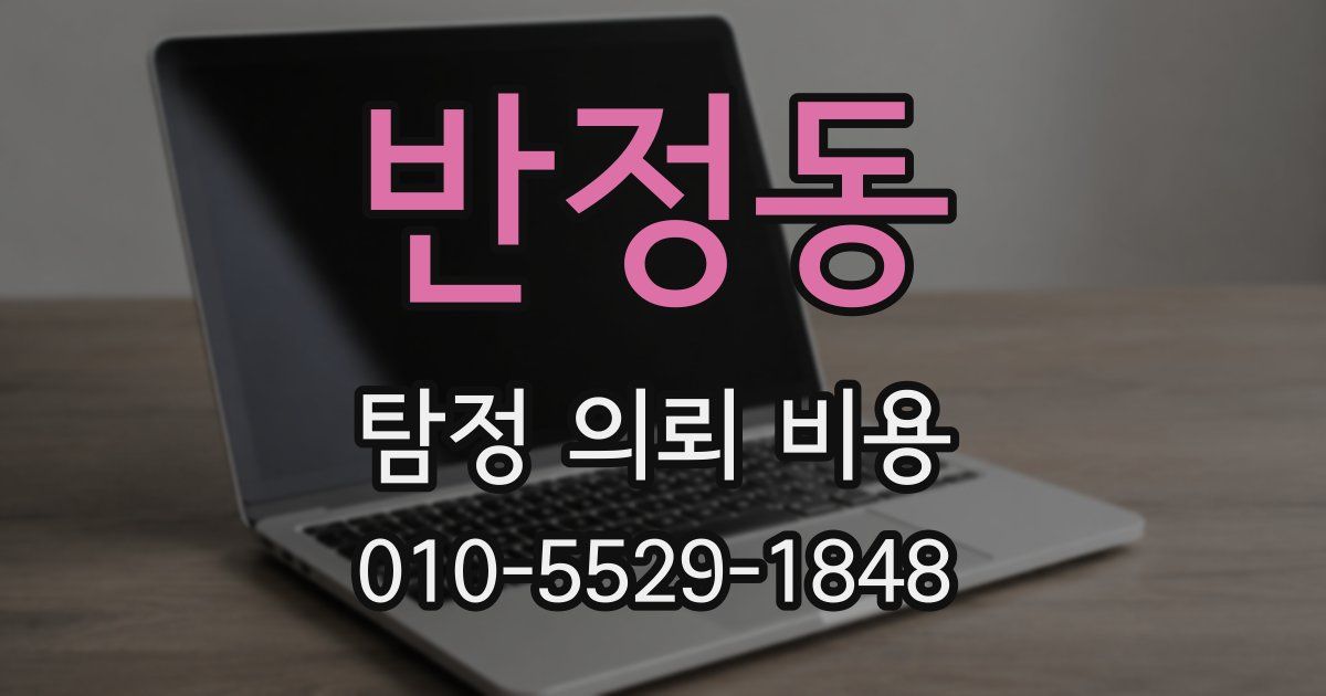 반정동 탐정 의뢰 비용