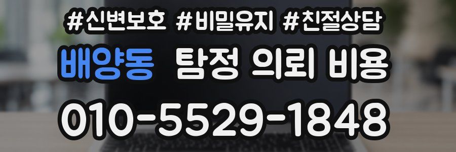 배양동 탐정 의뢰 비용