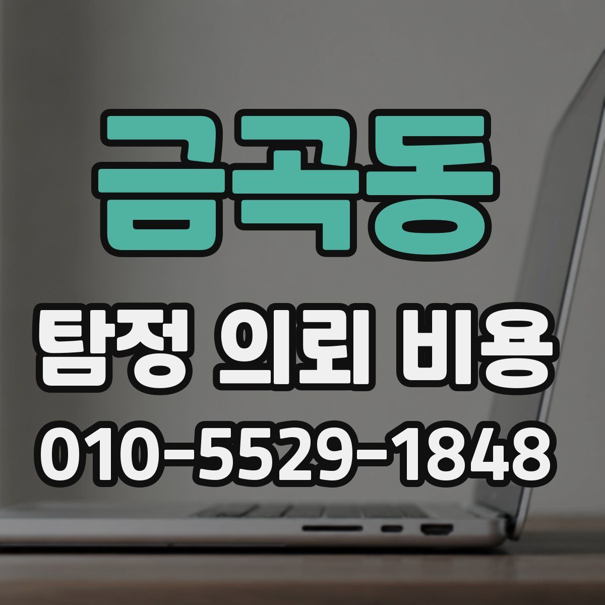 금곡동 탐정 의뢰 비용