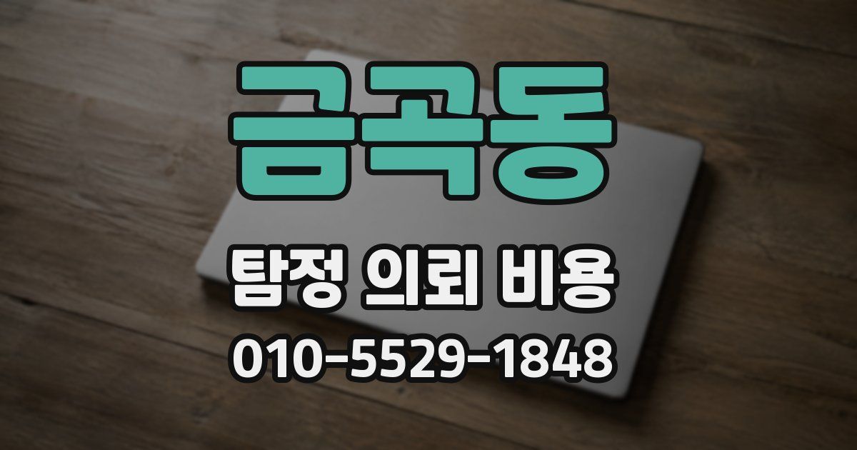 금곡동 탐정 의뢰 비용