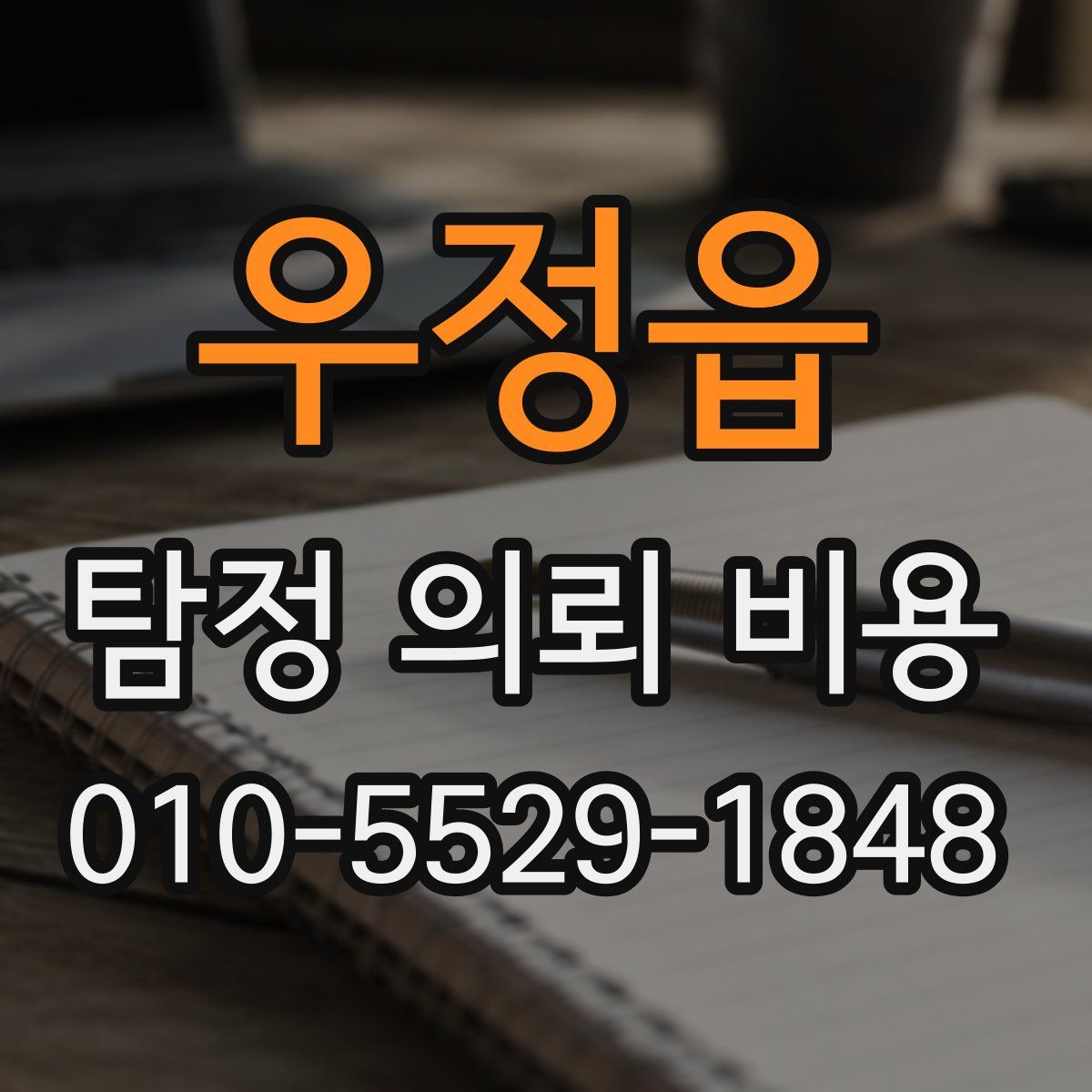 우정읍 탐정 의뢰 비용
