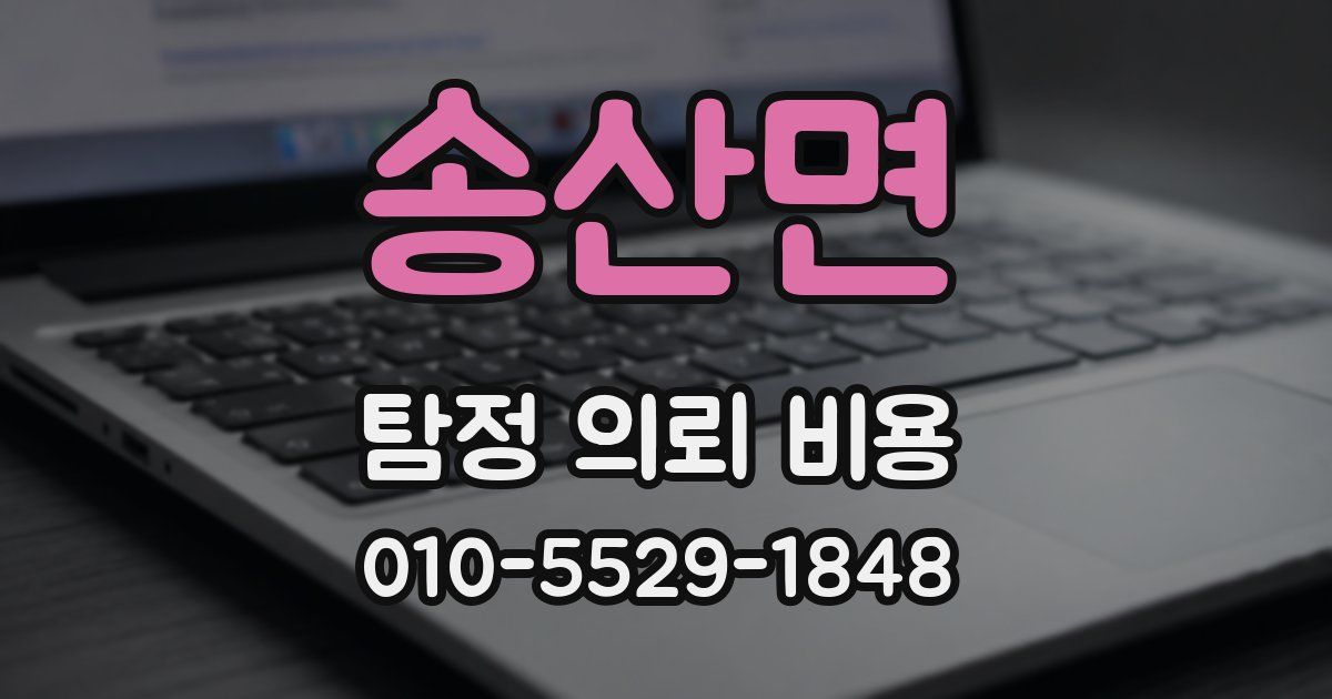 송산면 탐정 의뢰 비용