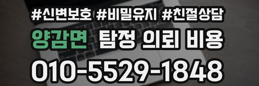 양감면 탐정 의뢰 비용