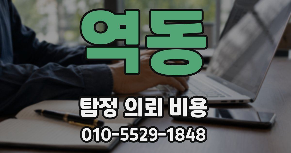 역동 탐정 의뢰 비용