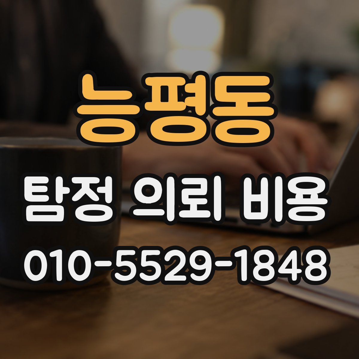 능평동 탐정 의뢰 비용