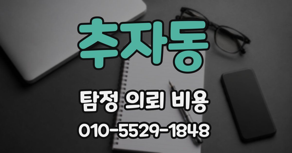 추자동 탐정 의뢰 비용