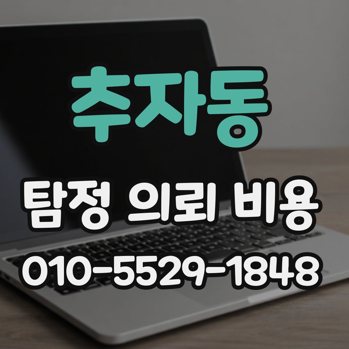 추자동 탐정 의뢰 비용