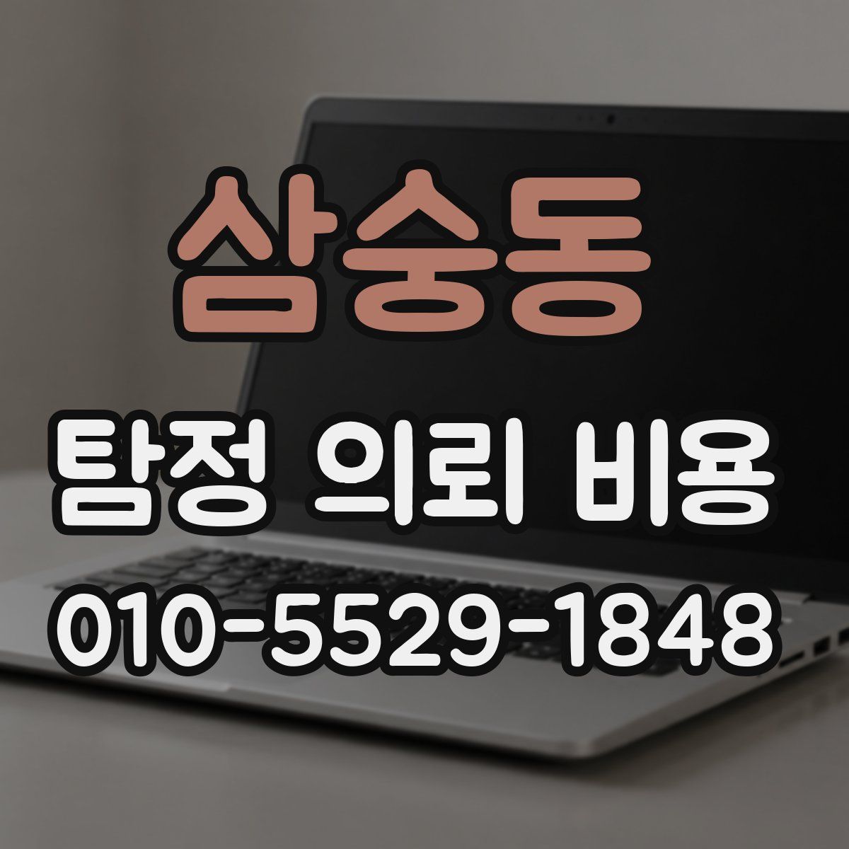 삼숭동 탐정 의뢰 비용