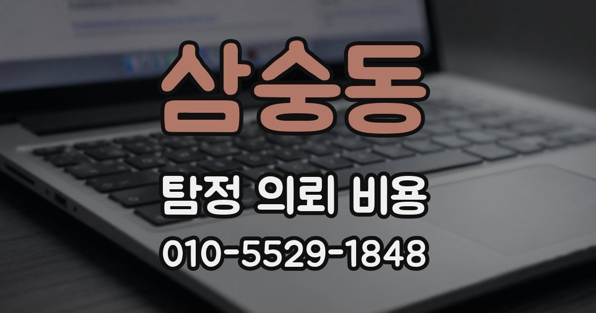 삼숭동 탐정 의뢰 비용