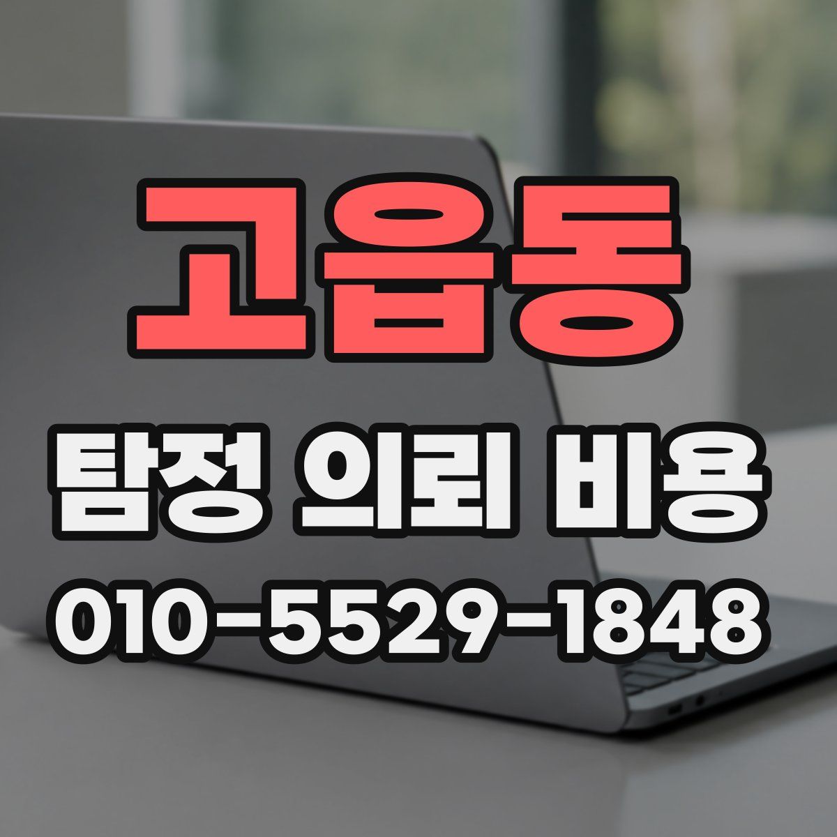 고읍동 탐정 의뢰 비용