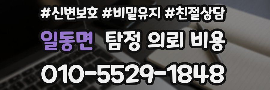 일동면 탐정 의뢰 비용