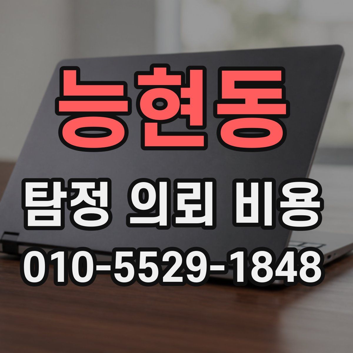 능현동 탐정 의뢰 비용