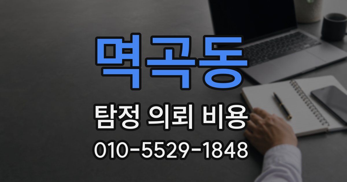 멱곡동 탐정 의뢰 비용