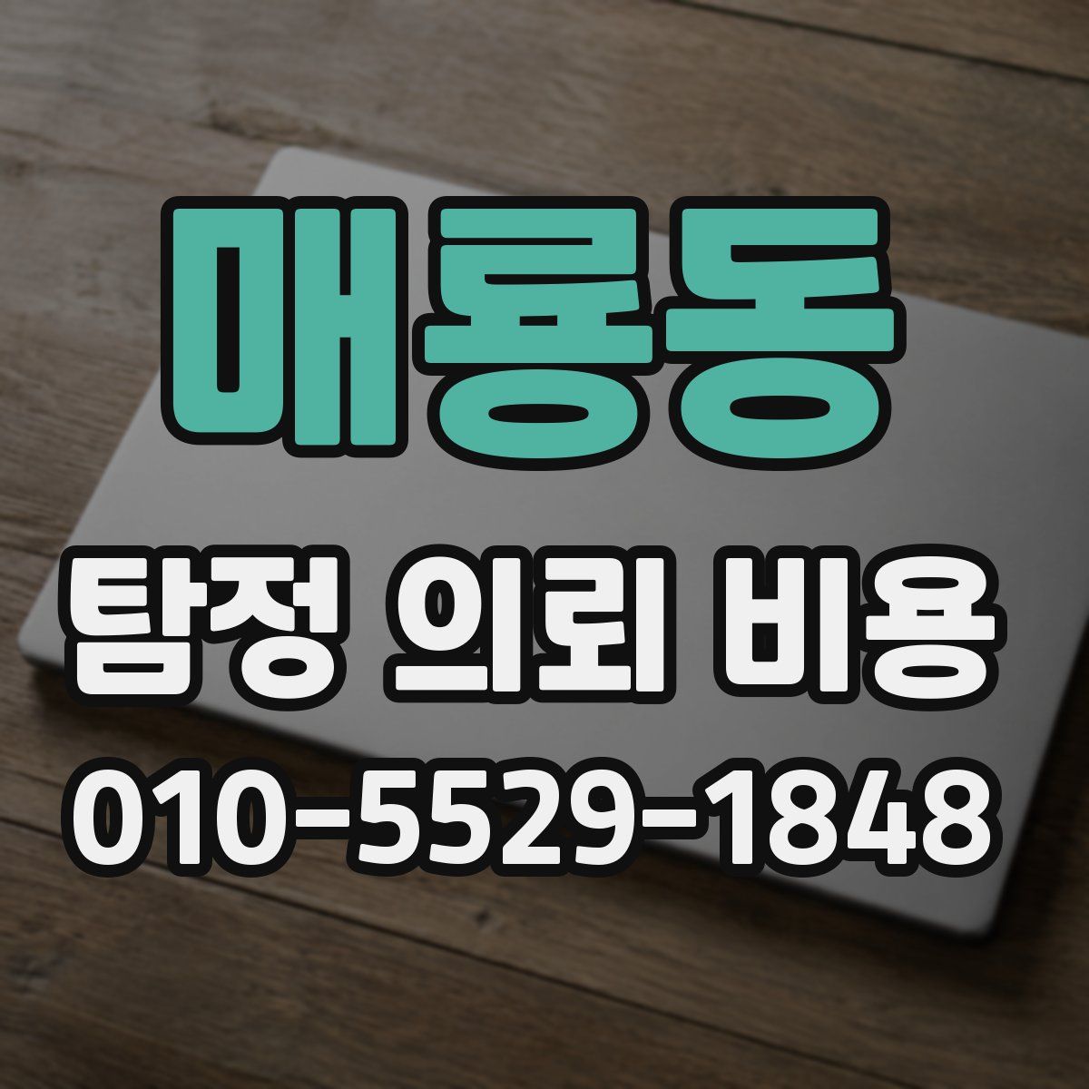 매룡동 탐정 의뢰 비용