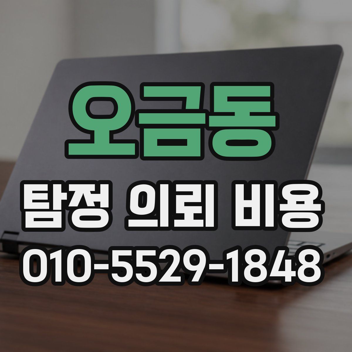 오금동 탐정 의뢰 비용