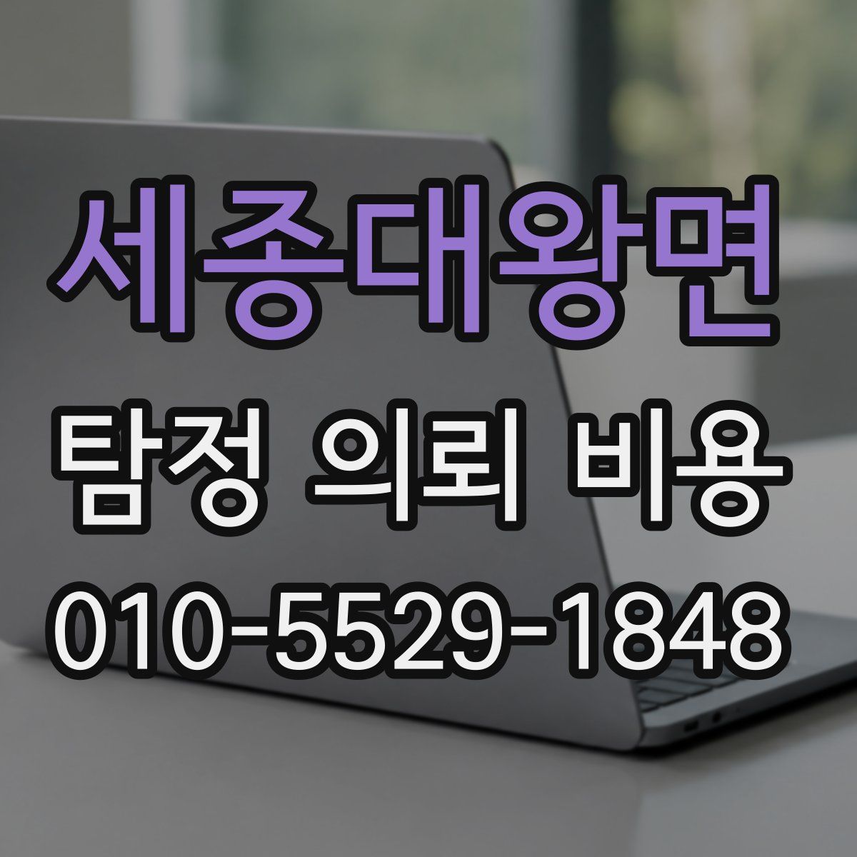 세종대왕면 탐정 의뢰 비용