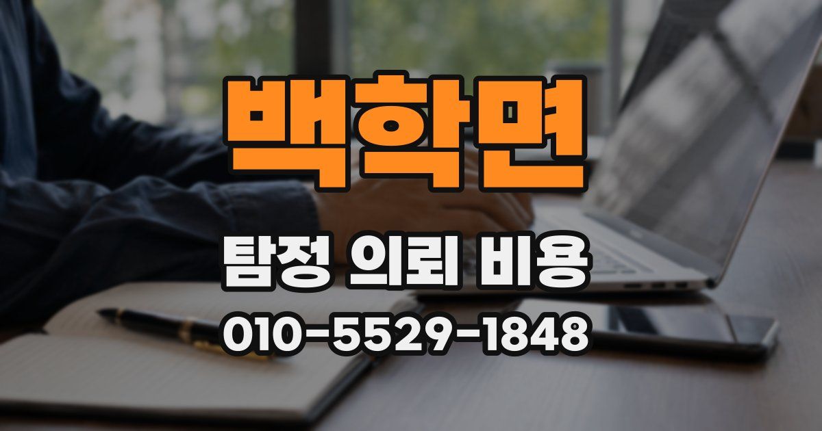 백학면 탐정 의뢰 비용