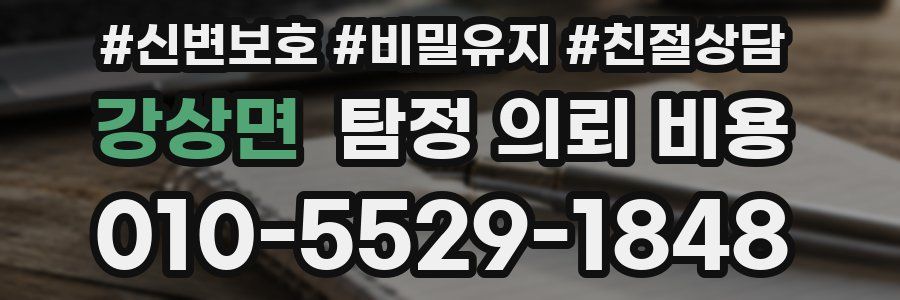 강상면 탐정 의뢰 비용