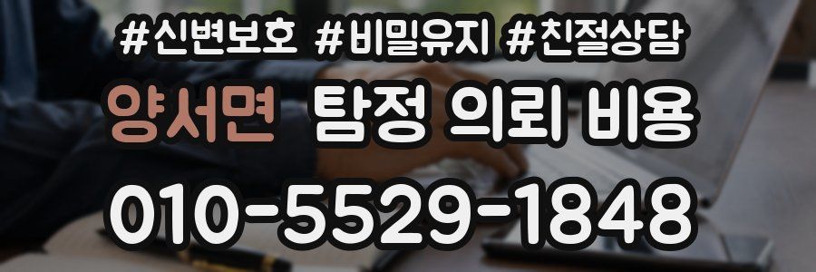 양서면 탐정 의뢰 비용