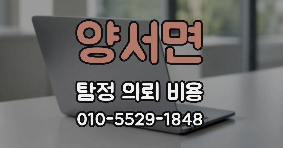 양서면 탐정 의뢰 비용