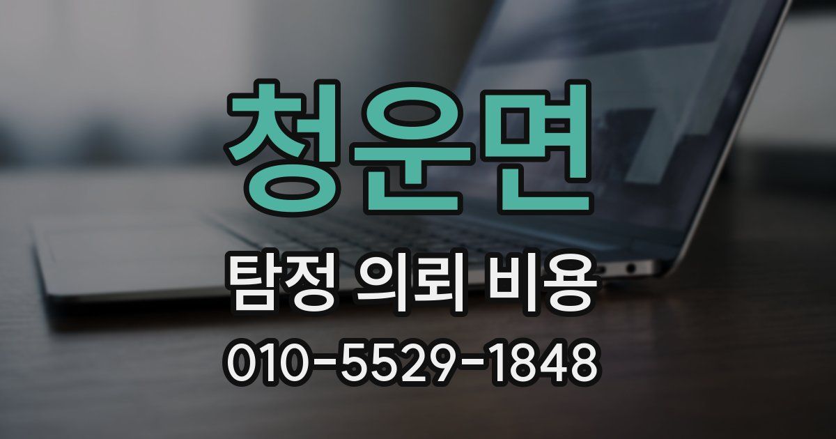 청운면 탐정 의뢰 비용