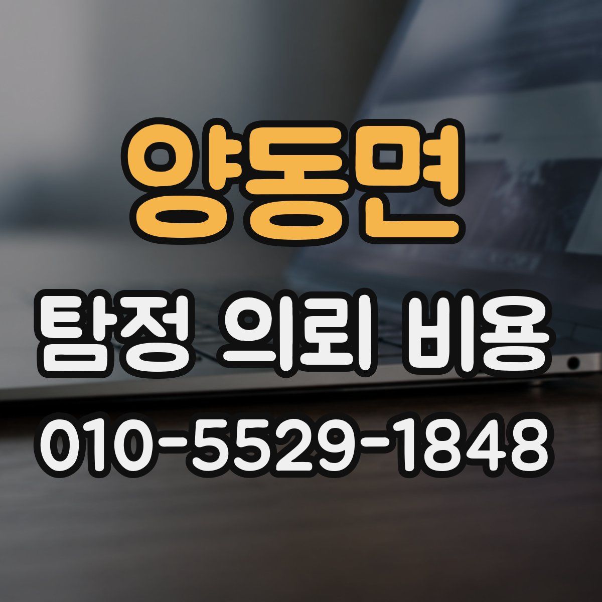양동면 탐정 의뢰 비용