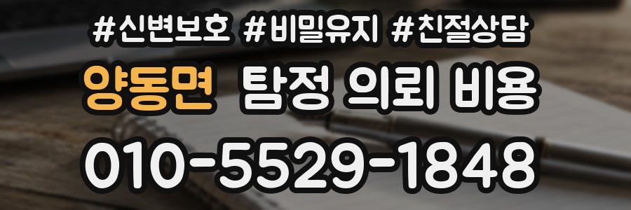 양동면 탐정 의뢰 비용