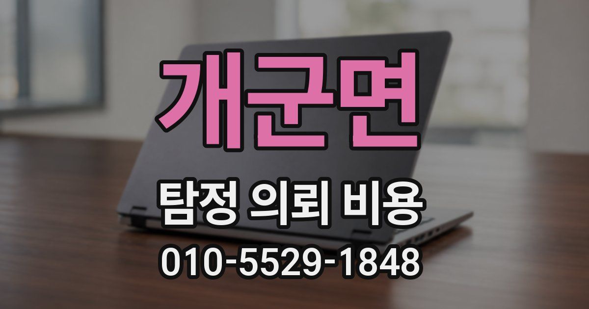 개군면 탐정 의뢰 비용
