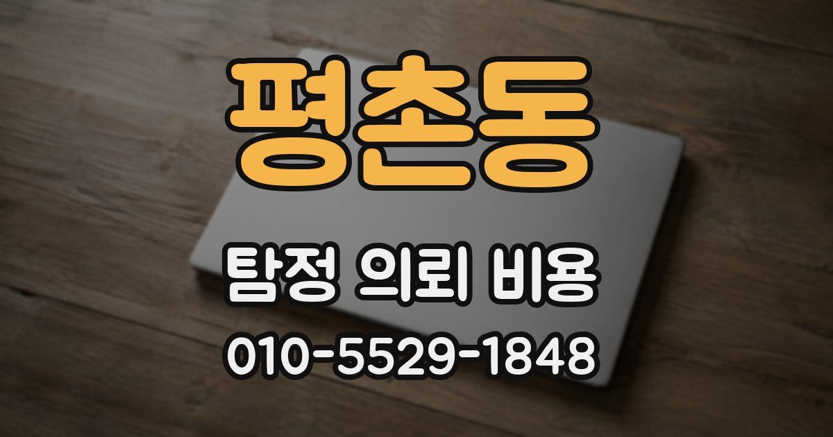 평촌동 탐정 의뢰 비용