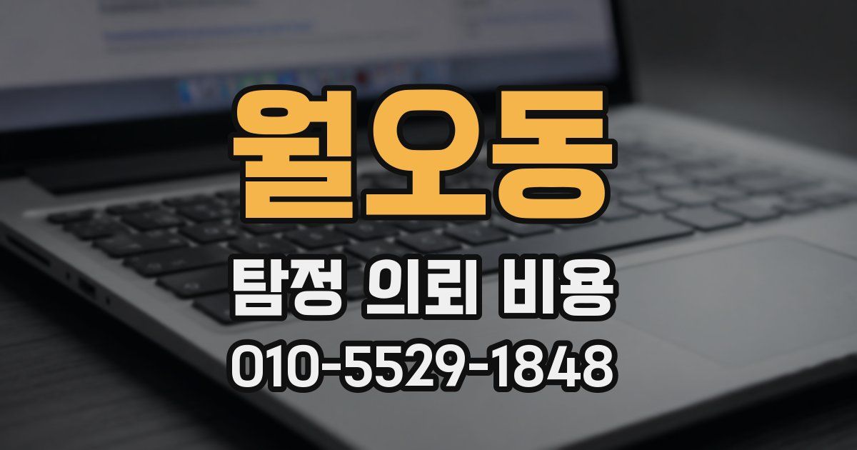 월오동 탐정 의뢰 비용