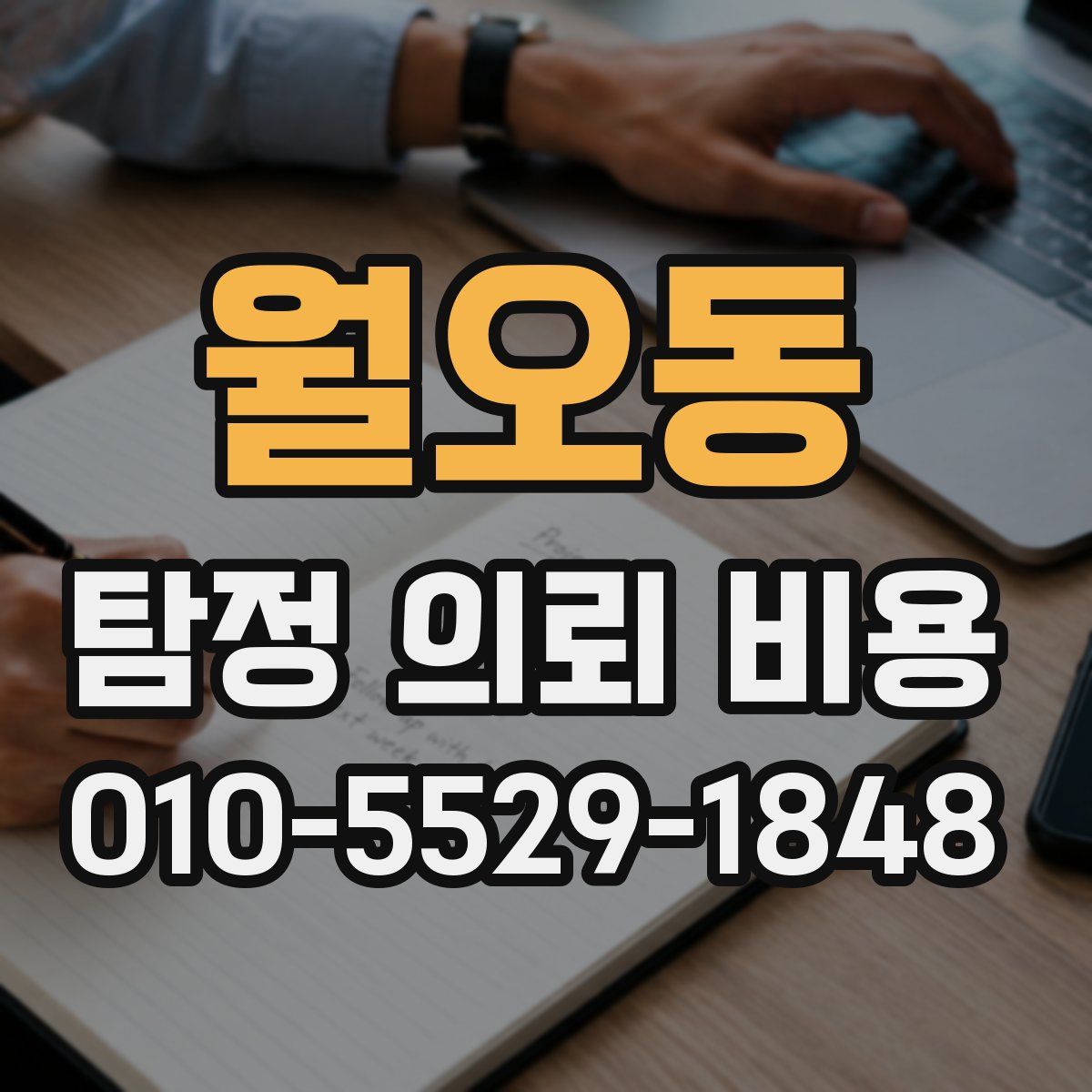 월오동 탐정 의뢰 비용