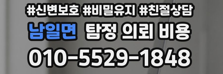 남일면 탐정 의뢰 비용