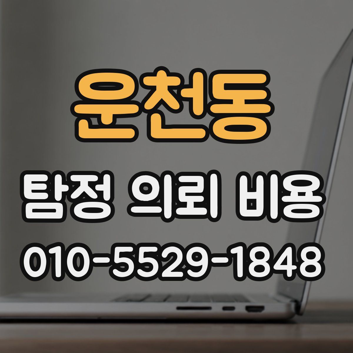 운천동 탐정 의뢰 비용