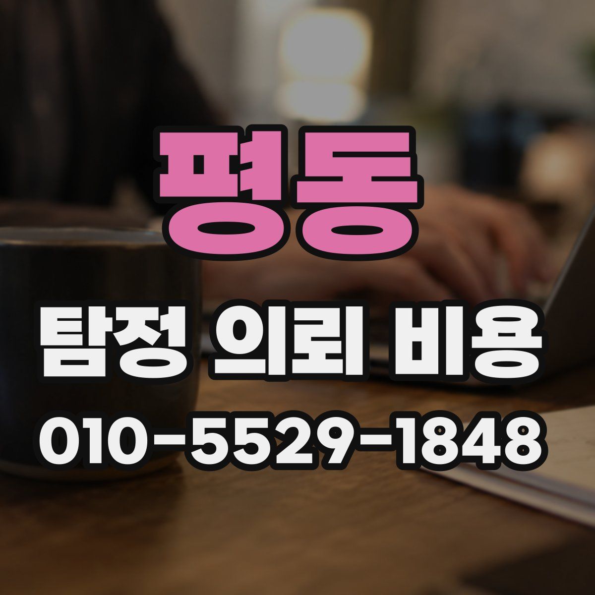 평동 탐정 의뢰 비용