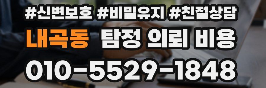 내곡동 탐정 의뢰 비용